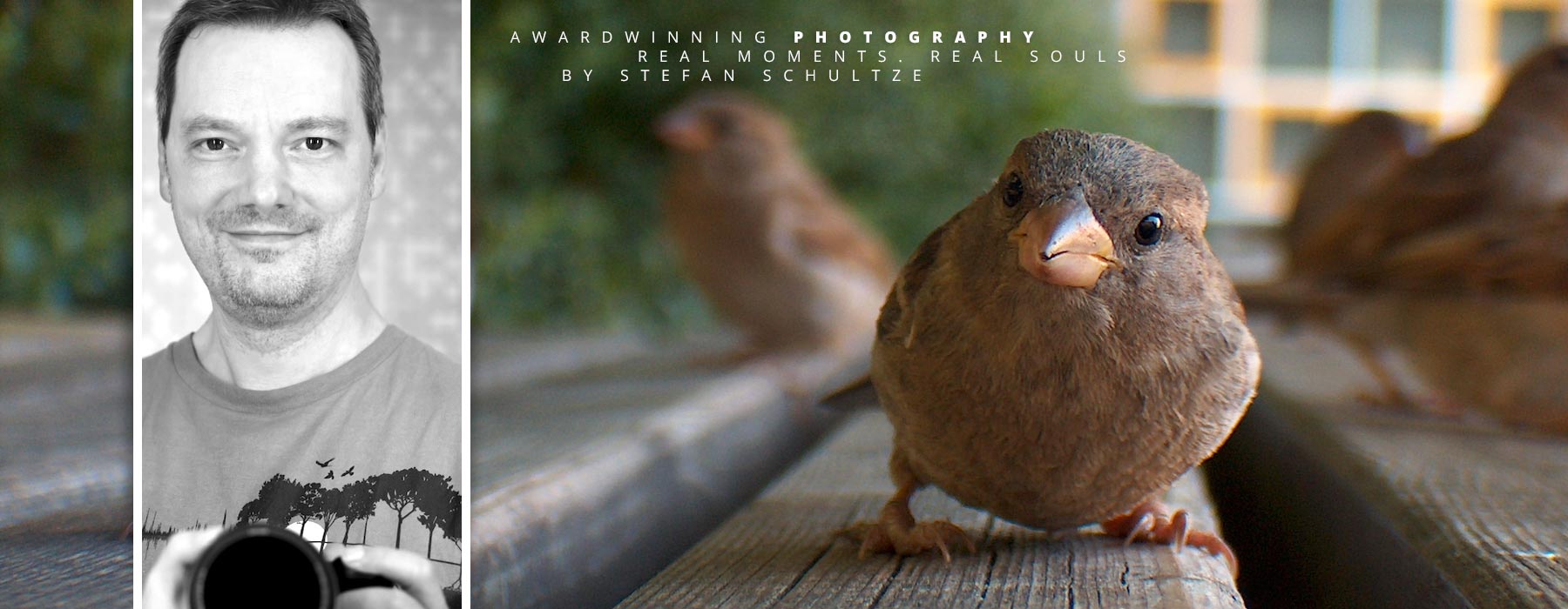 Fineart photography by Stefan Schultze: a little sparrow or in german Spatz as we say confidently chirping for one of my snacks - I had the cam with me and wasn´t sure if the little feathered fella wanted only my snack or talk to its buddy in the mirror reflection of the lens the closer it got. Finally after I was walking away a little crowd of 10-15 birds followed me in the same manner on the way walking and jumping, loudly chirping until they finally flew away :) 